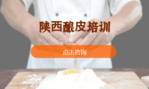 陕⻄酿⽪培训