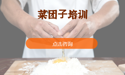 菜团⼦培训